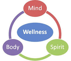 holistic approach