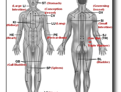 meridians